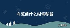 洋葱苗长多大移栽 洋葱苗什么时候移裁