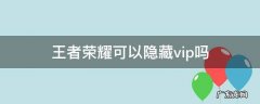 王者能隐藏vip吗 王者荣耀可以隐藏vip吗