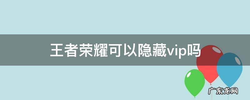 王者能隐藏vip吗 王者荣耀可以隐藏vip吗