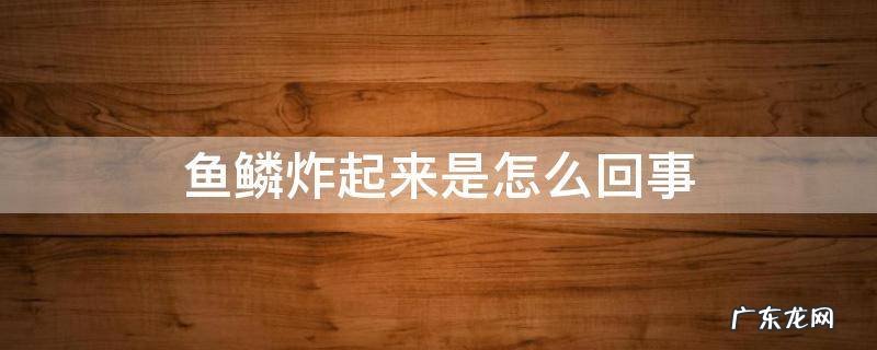 鱼鳞炸起来是怎么回事 金鱼肚子变大,鱼鳞炸起来是怎么回事