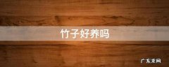 夏威夷竹子好养吗 竹子好养吗