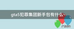 gta5犯罪集团新手包有什么 gta5犯罪集团新手包有什么车