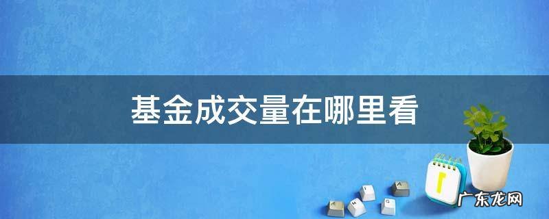 基金成交量在哪里看 支付宝基金成交量在哪看