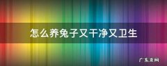 怎么养兔子又干净又卫生 兔子怎么养比较干净