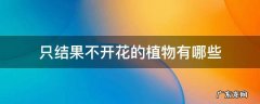 只结果不开花的植物有哪些 什么植物只开花不结果什么植物只结果不开花