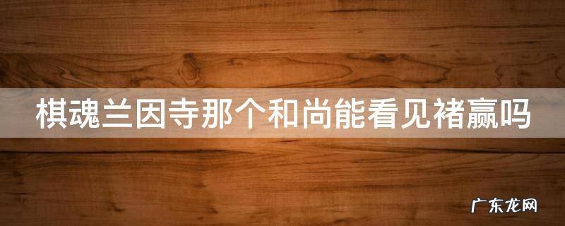 棋魂兰因寺那个和尚能看见褚赢吗 棋魂兰音寺师叔能看见褚赢吗
