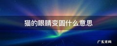 猫的眼睛变圆是为什么 猫的眼睛变圆什么意思