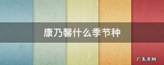 康乃馨适合几月份种 康乃馨什么季节种