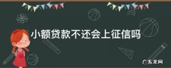 小额贷款不还会不会上征信 小额贷款不还会上征信吗