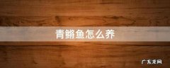 青鳉鱼怎么养 青鳉鱼怎么养长的快