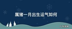 属猪一月出生运气如何 一月份属猪的运气不好