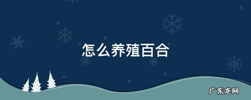 百合的养殖技术 怎么养殖百合