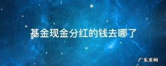 基金现金分红的钱去哪了 基金里面的现金分红到哪去了