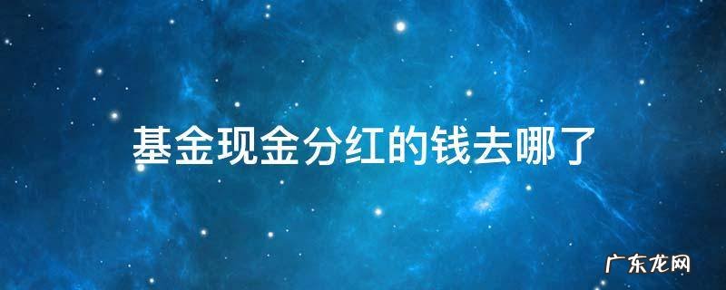 基金现金分红的钱去哪了 基金里面的现金分红到哪去了