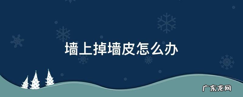 墙上掉墙皮怎么办 墙上掉墙皮怎么办,粘什么