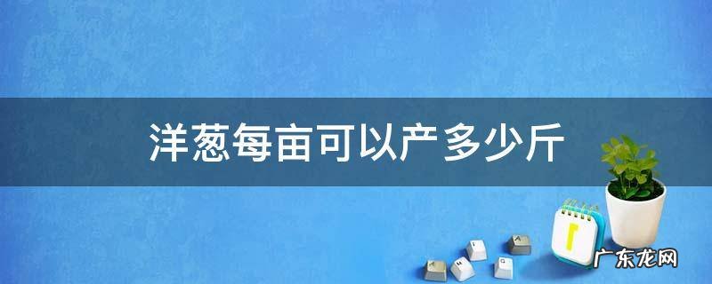 洋葱每亩可以产多少斤 洋葱的亩产量多少斤