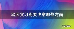 驾照实习期要注意哪些方面