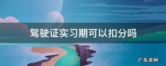 驾驶证实习期可以扣分吗