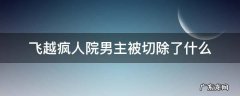 飞越疯人院男主被切除了什么 飞越疯人院男主角