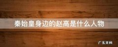 秦始皇身边的赵高是什么人物 秦始皇和赵高的关系