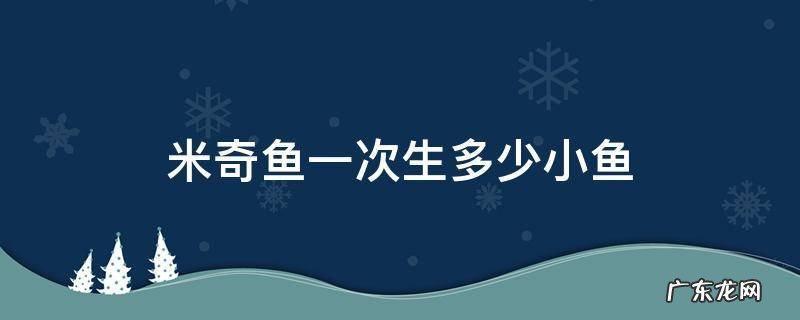 米奇鱼一次生多少小鱼 米奇鱼一次生完小鱼吗