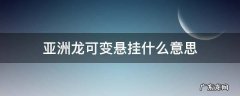 亚洲龙的可调悬挂 亚洲龙可变悬挂什么意思