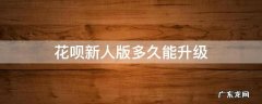 花呗新人版大概多久可以升级 花呗新人版多久能升级