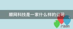 顺网科技是一家什么样的公司 顺网科技公司怎么样