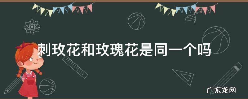 刺玫瑰和玫瑰花一样吗 刺玫花和玫瑰花是同一个吗