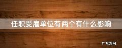 任职受雇单位有两个有什么影响 任职受雇单位有两个有什么影响