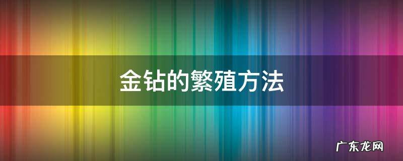 金钻的繁殖方法 金钻的养殖方法和注意事项