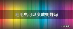 毛毛虫可以变成蝴蝶吗 毛虫能变成蝴蝶吗