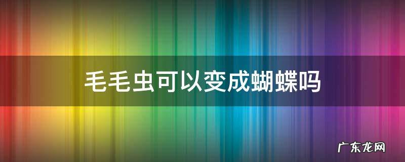 毛毛虫可以变成蝴蝶吗 毛虫能变成蝴蝶吗