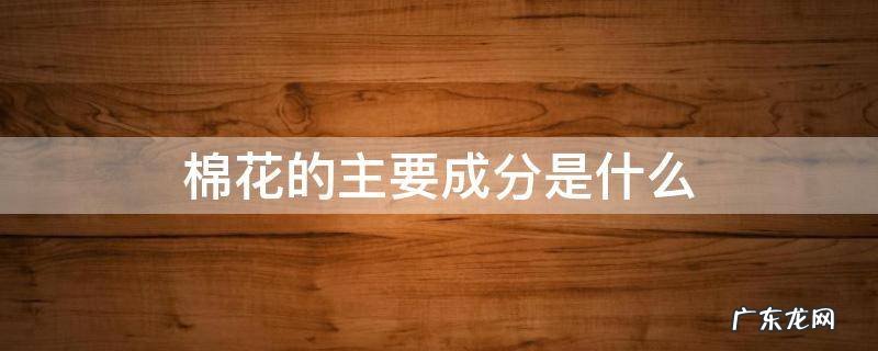 棉花的成分属于什么 棉花的主要成分是什么