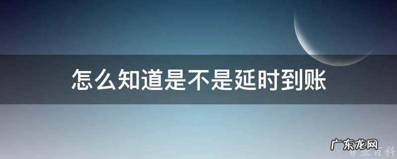 怎么知道是不是延时到账 怎么查询延时转账