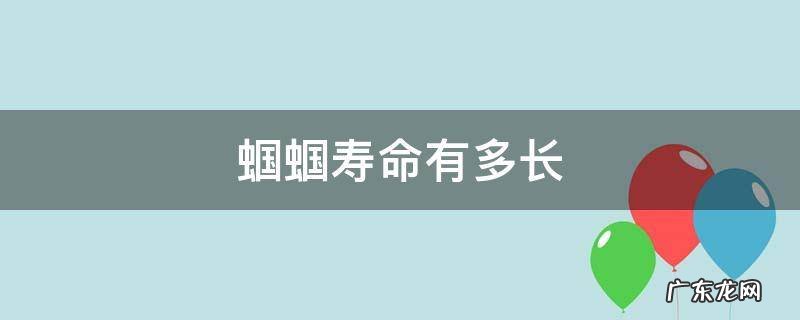 蝈蝈能活多久蝈蝈的寿命多长 蝈蝈寿命有多长