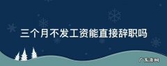 三个月不发工资能直接辞职吗 三个月不发工资可以直接辞职吗