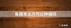鱼腥草北方可以种植吗 鱼腥草可以在北方种植吗