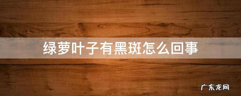 绿萝叶子全是黑斑怎么办 绿萝叶子有黑斑怎么回事