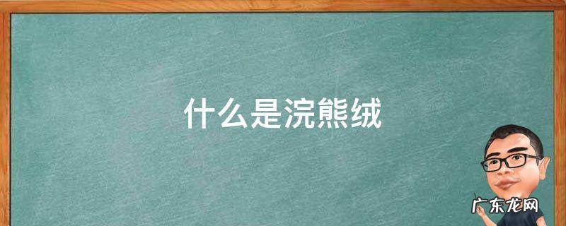 什么是浣熊绒面料 什么是浣熊绒