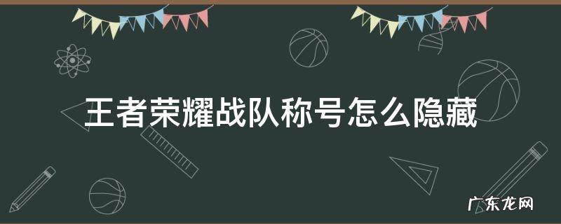 王者荣耀战队称号怎么隐藏 王者荣耀如何隐藏战队称号