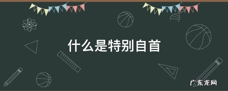 什么是特别自首 什么是特别自首制度