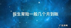 报生育险一般几个月到账 生育险每月几日到账