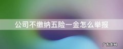 公司不缴纳五险一金怎么举报 如何举报公司没有缴纳五险一金