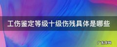 工伤鉴定十级鉴定标准2020 工伤鉴定等级十级伤残具体是哪些
