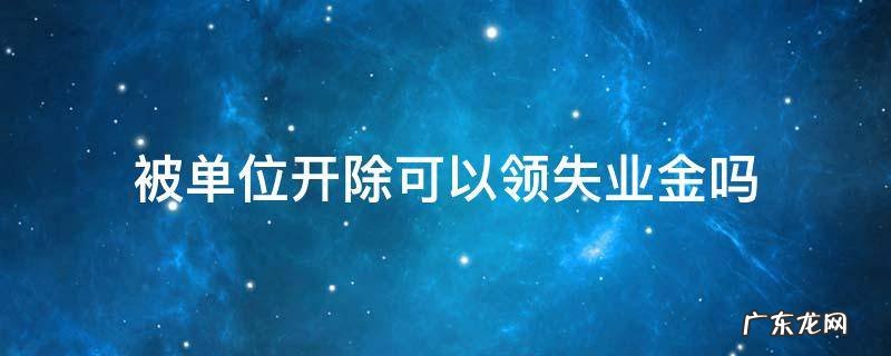 被单位开除后可以领失业金吗 被单位开除可以领失业金吗
