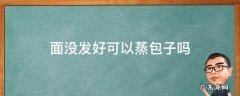 面没发好可以蒸包子吗 蒸包子的面没发好 还能蒸包子吃吗