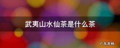 武夷山水仙茶介绍 武夷山水仙茶是什么茶