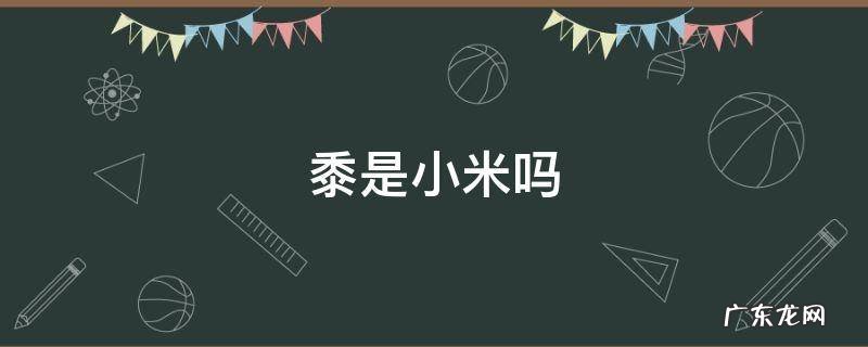 秫米是小米吗 黍是小米吗