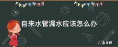 自来水进水管漏水是怎么处理 自来水管漏水应该怎么办